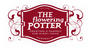 The Flowering Potter