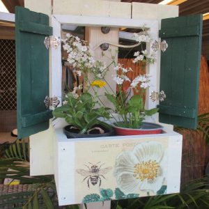 Bee and white flower dark green shutters