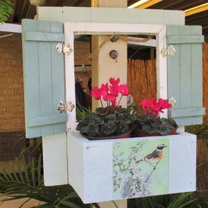 Bird on branch / dark green shutters