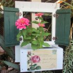Pink rose postage dark green shutters