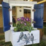 Four birds with dark blue shutters