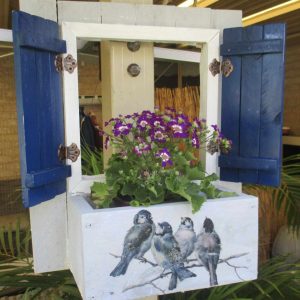 Four birds with dark blue shutters