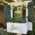 Bird image with dark green shutters and white planter