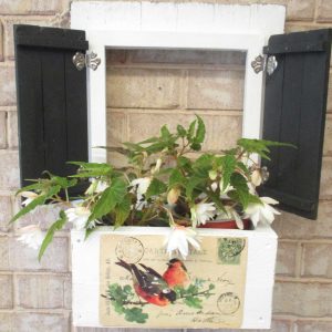 Orange birds with black shutters