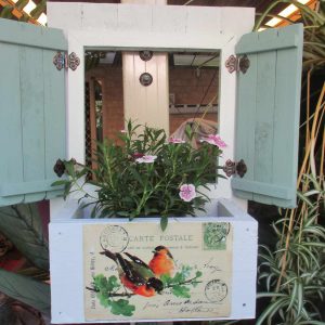 Orange birds light green shutters