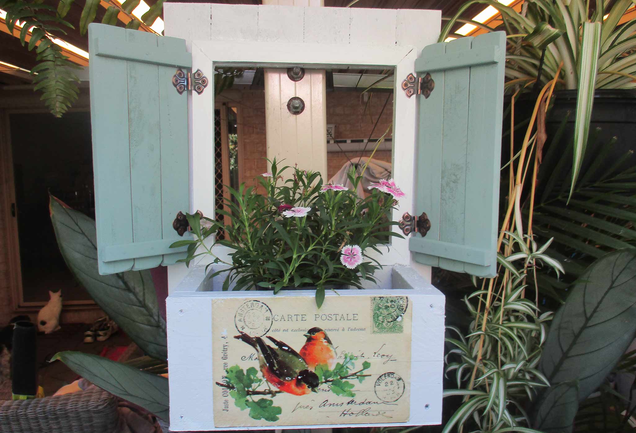 Orange birds light green shutters