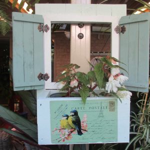 Blue yellow birds and light green shutters